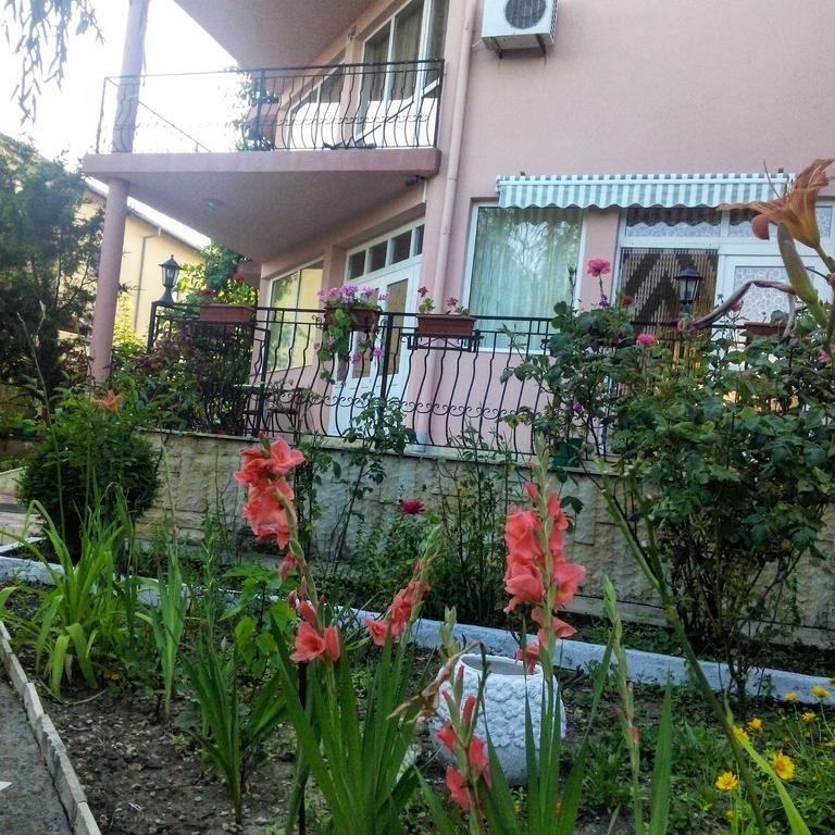 Отель Casa Dalena Костинешти Экстерьер фото