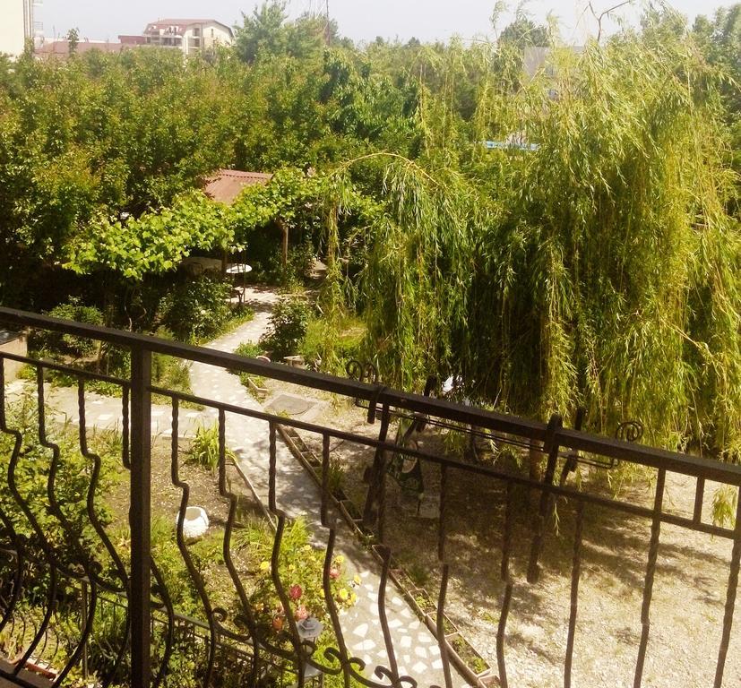 Отель Casa Dalena Костинешти Экстерьер фото