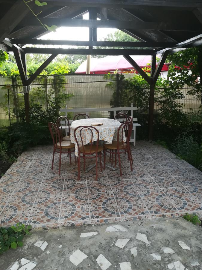 Отель Casa Dalena Костинешти Экстерьер фото