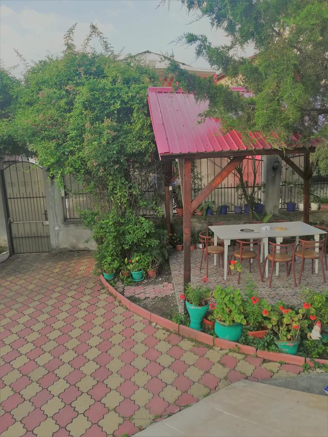 Отель Casa Dalena Костинешти Экстерьер фото