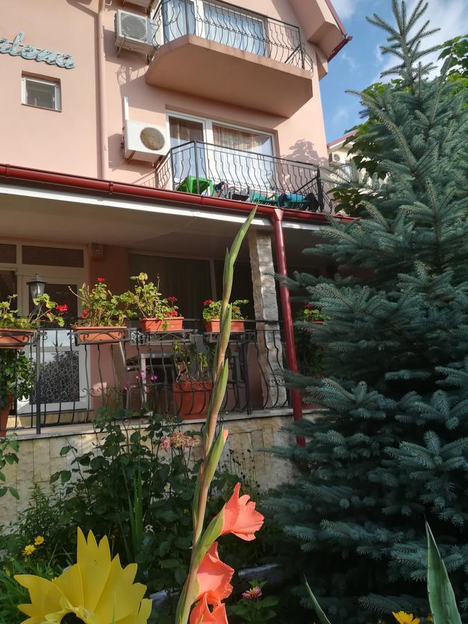 Отель Casa Dalena Костинешти Экстерьер фото